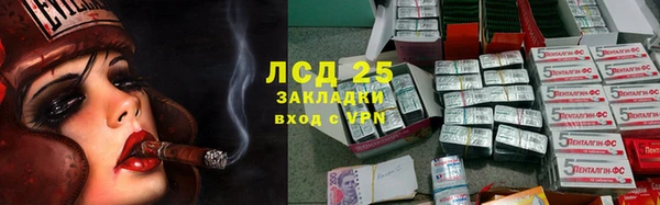 гашик Арсеньев