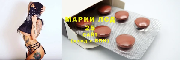 прущие грибы Армянск