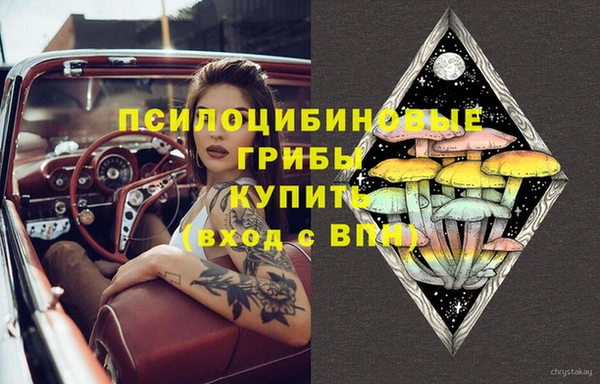 шишки Тайга