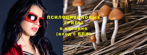 гашик Арсеньев