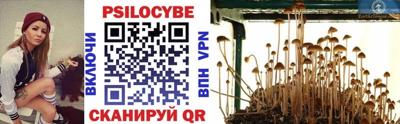 ОМГ ОМГ зеркало  Ирбит  Псилоцибиновые грибы MAGIC MUSHROOMS  наркотики 